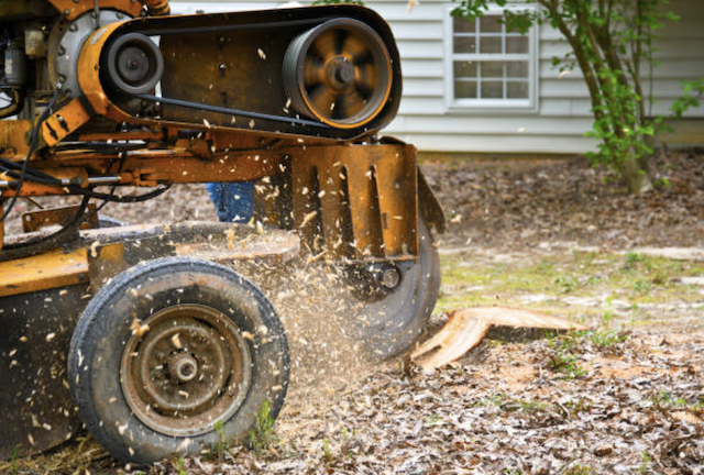 stump grinding Tolleson arizona